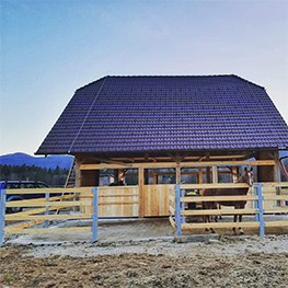 golden breath stable 