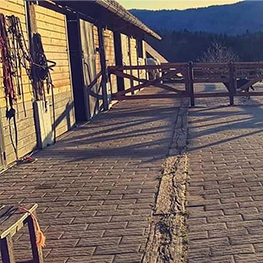 golden breath stable 