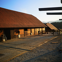 golden breath stable 