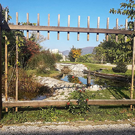 golden breath stable 